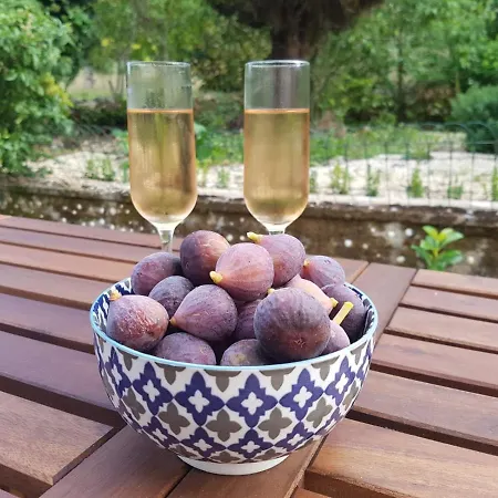 Le Sorbier 2 Bed/2 Bath With Swimming Pool מלון מונטיניאק